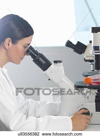 Scientist viewing cultures under inverted microscope for medical and pharmaceutical research View Large Photo Image Stock Image - Scientist viewing cultures under inverted microscope for medical and pharmaceutical research. Fotosearch
