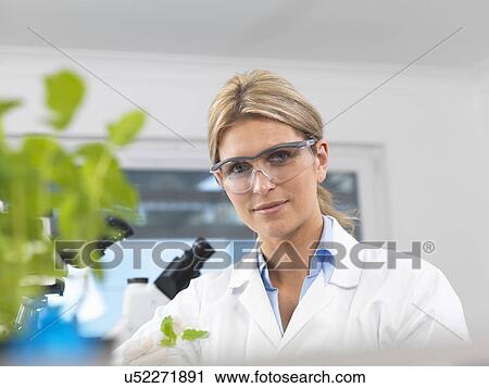 Scientist viewing development of experimental plants in research laboratory View Large Photo Image Stock Image - Scientist viewing development of experimental plants in research laboratory. Fotosearch
