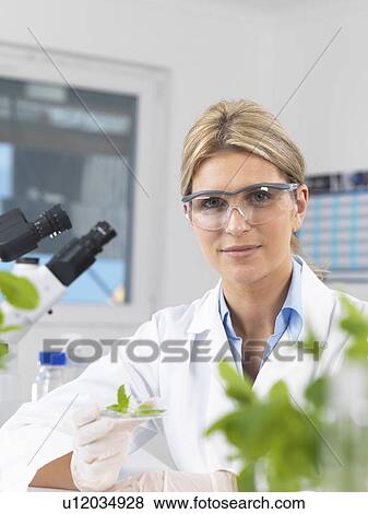 Scientist viewing development of experimental plants in research laboratory View Large Photo Image Stock Photo - Scientist viewing development of experimental plants in research laboratory. Fotosearch