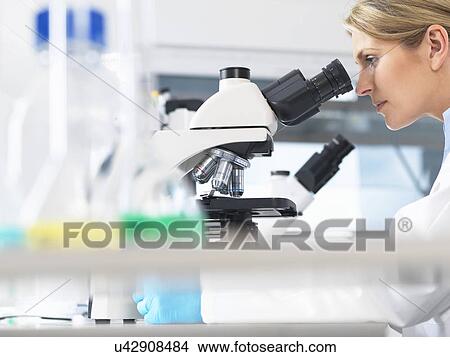 Picture - Scientist viewing sample on a glass slide through microscope for medical testing. Fotosearch