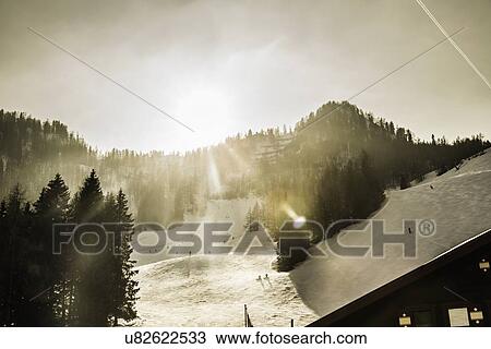 Stock Image - "Ski slope with trees and bright sunshine, Tirol, Austria". Fotosearch