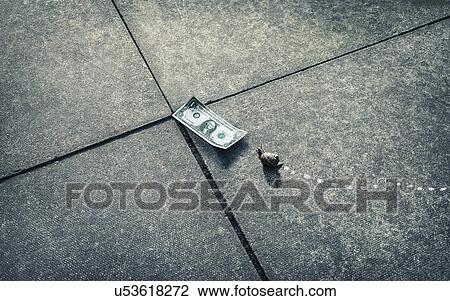 Stock Image - Snail heading for one dollar bank note on sidewalk. Fotosearch
