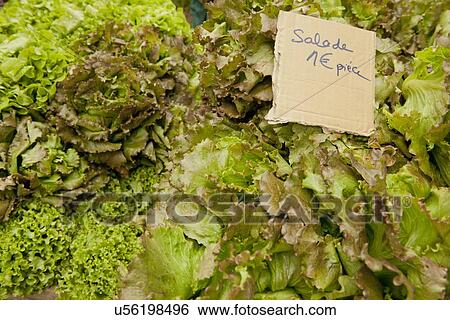 "Traditional French market stall with lettuce on display, Issigeac, France" View Large Photo Image Stock Photograph - "Traditional French market stall with lettuce on display, Issigeac, France". Fotosearch