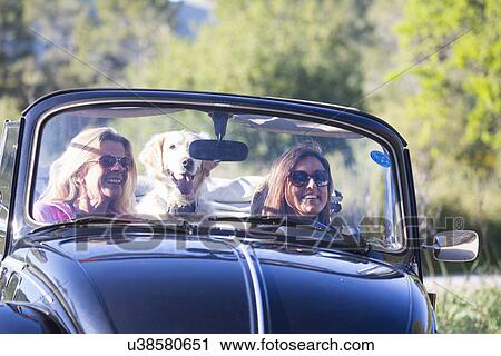 "Two mature women, in convertible car, with dog, smiling" View Large Photo Image Stock Image - "Two mature women, in convertible car, with dog, smiling". Fotosearch