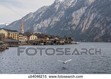 "View of Hallstatt and Hallstatter See, Austria" View Large Photo Image Stock Photography - "View of Hallstatt and Hallstatter See, Austria". Fotosearch
