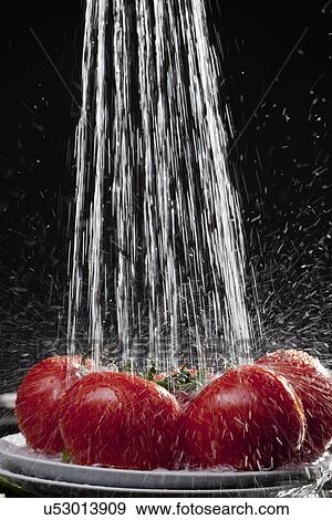 Water sprinkling on vine tomatoes View Large Photo Image Stock Photo - Water sprinkling on vine tomatoes. Fotosearch