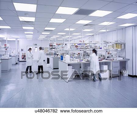 Wide angle view of scientists working in laboratory View Large Photo Image Stock Image - Wide angle view of scientists working in laboratory. Fotosearch