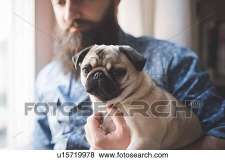 Young bearded man carrying dog in arms View Large Photo Image Stock Photo - Young bearded man carrying dog in arms. Fotosearch