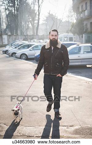 Stock Image - Young bearded man walking dog on street. Fotosearch