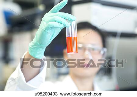 Young female lab technician holding up orange sample in lab View Large Photo Image Stock Image - Young female lab technician holding up orange sample in lab. Fotosearch