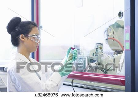 Young female scientist looking at sample in lab View Large Photo Image Stock Photograph - Young female scientist looking at sample in lab. Fotosearch