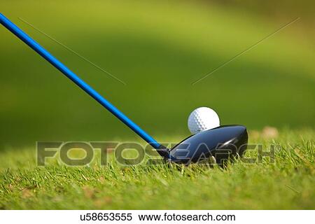 Stock Photography - A golf club on a golf course. Fotosearch