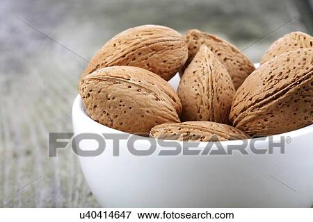 Almond in Shell - close-up View Large Photo Image Stock Photo - Almond in Shell - close-up. Fotosearch