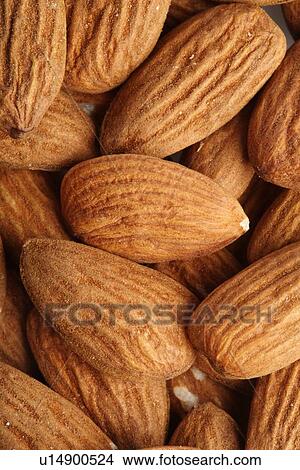 Almonds on white background - close-up View Large Photo Image Picture - Almonds on white background - close-up. Fotosearch