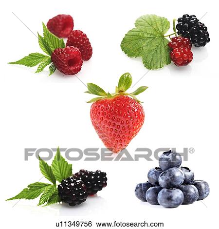 Berries on white background - close-up View Large Photo Image Stock Photograph - Berries on white background - close-up. Fotosearch