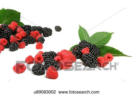 Stock Image - Berries on white backround - studio shot. Fotosearch