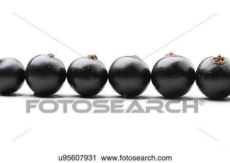Stock Image - Black currants - close up. Fotosearch