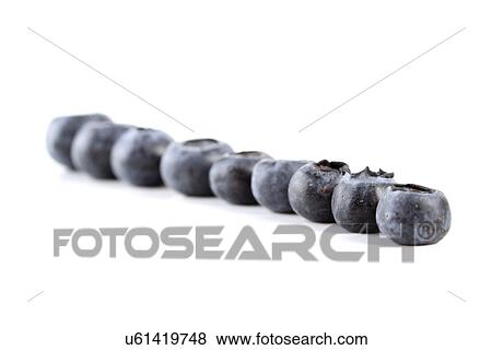 Blueberries View Large Photo Image Stock Photo - Blueberries. Fotosearch