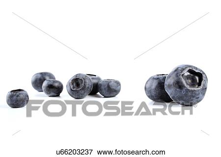Blueberries View Large Photo Image Stock Photo - Blueberries. Fotosearch