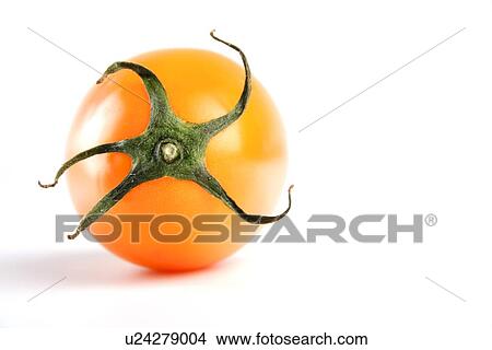 Picture - Cherry tomatoes on white background. Fotosearch