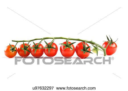 Stock Photo - Cherry tomatoes on white background. Fotosearch