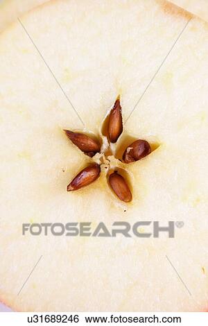 Stock Photograph - Close-up of apples seeds. Fotosearch