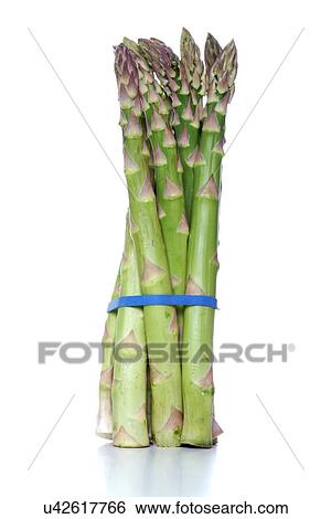 Stock Photograph - Close up of asparagus on white background. Fotosearch