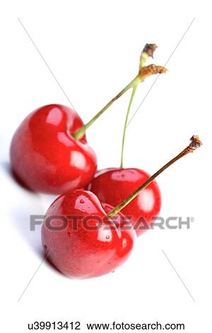 Close up of cherrys on white background View Large Photo Image Stock Image - Close up of cherrys on white background. Fotosearch