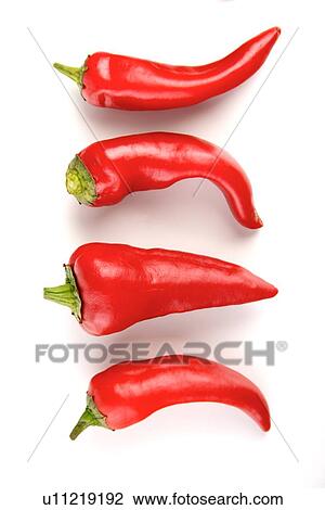 Close-up of chilli pepper on white background View Large Photo Image Stock Image - Close-up of chilli pepper on white background. Fotosearch