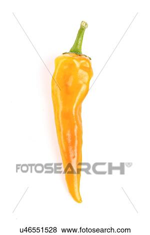 Close-up of chilli pepper on white background View Large Photo Image Stock Photo - Close-up of chilli pepper on white background. Fotosearch