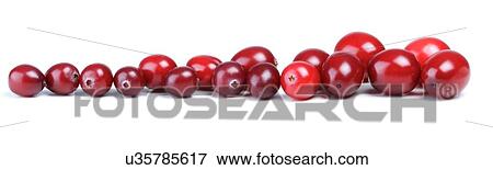 Close-up of cranberries on white background View Large Photo Image Stock Photo - Close-up of cranberries on white background. Fotosearch