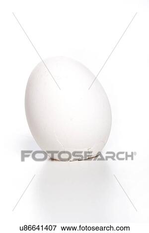Stock Photo - Close up of eggs - studio shot. Fotosearch