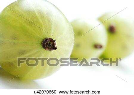 Stock Image - Close up of gooseberrys on white background. Fotosearch