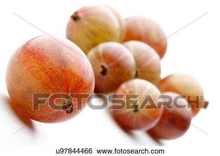 Stock Photograph - Close-up of grapes on white background. Fotosearch