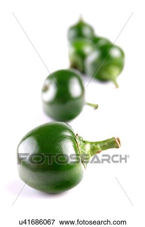 Close-up of green chilli pepper View Large Photo Image Stock Photo - Close-up of green chilli pepper. Fotosearch