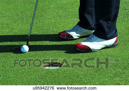 Close up of person putting golf ball on golf course View Large Photo Image Stock Photograph - Close up of person putting golf ball on golf course. Fotosearch