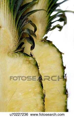 Stock Photograph - Close up of pineapple on white background. Fotosearch