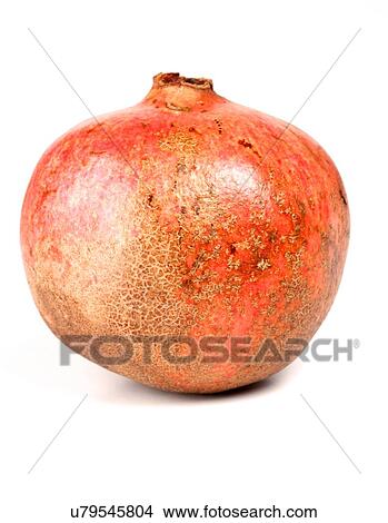Close-up of pomegranate on white background View Large Photo Image Picture - Close-up of pomegranate on white background. Fotosearch