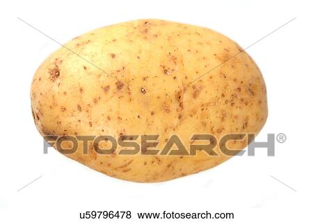 Stock Photo - Close up of potato on white background. Fotosearch