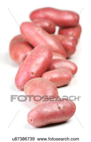 Close up of potato on white background View Large Photo Image Stock Photo - Close up of potato on white background. Fotosearch