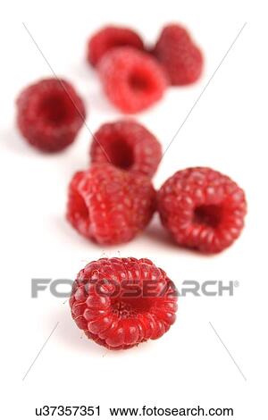 Close-up of raspberries on wite background View Large Photo Image Stock Image - Close-up of raspberries on wite background. Fotosearch