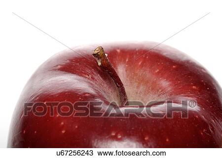 Close-up of red apple on white background View Large Photo Image Stock Image - Close-up of red apple on white background. Fotosearch