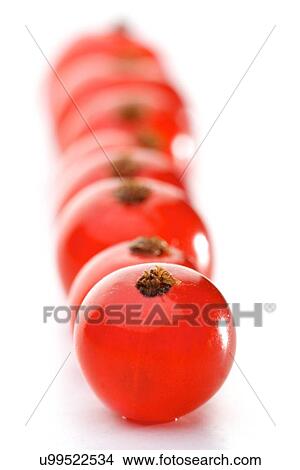 Close - up of red currant View Large Photo Image Picture - Close - up of red currant. Fotosearch