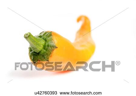 Stock Image - Close-up of yellow chilli pepper. Fotosearch
