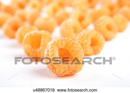 Close up of yellow raspberries on white background View Large Photo Image Stock Photo - Close up of yellow raspberries on white background. Fotosearch