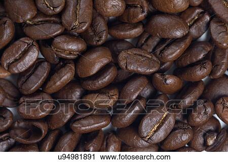 Coffee grains - close up View Large Photo Image Stock Image - Coffee grains - close up. Fotosearch