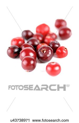 Stock Image - Cranberries on white background - studio shot. Fotosearch