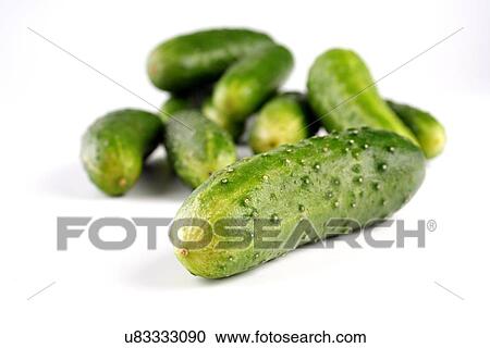 Cucumbers on white background - studio shot View Large Photo Image Stock Image - Cucumbers on white background - studio shot. Fotosearch