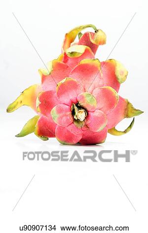 Picture - Dragon fruit - studio shot. Fotosearch
