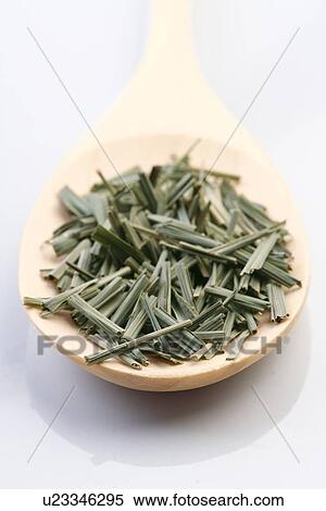 Dried lemon grass on wooden spoon View Large Photo Image Stock Photography - Dried lemon grass on wooden spoon. Fotosearch